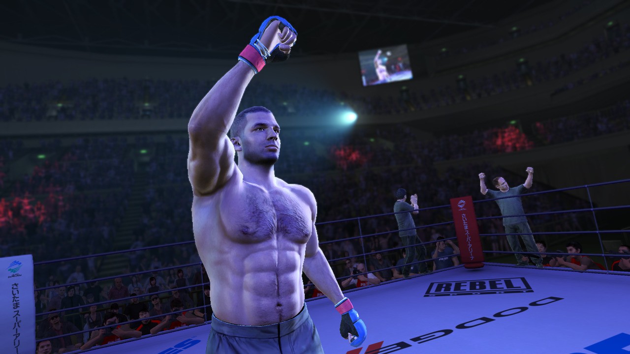 UFC Undisputed 3